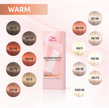 Load image into Gallery viewer, Professionals Shinefinity Hair Color 60ml