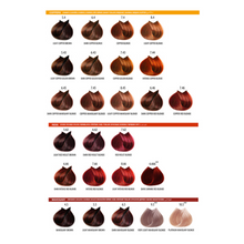 Load image into Gallery viewer, Life Color Plus 100ml