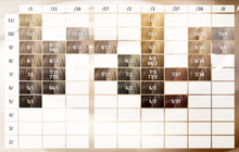 Load image into Gallery viewer, Koleston Perfect Old Formula 60ml