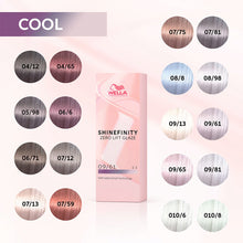 Load image into Gallery viewer, Professionals Shinefinity Hair Color 60ml
