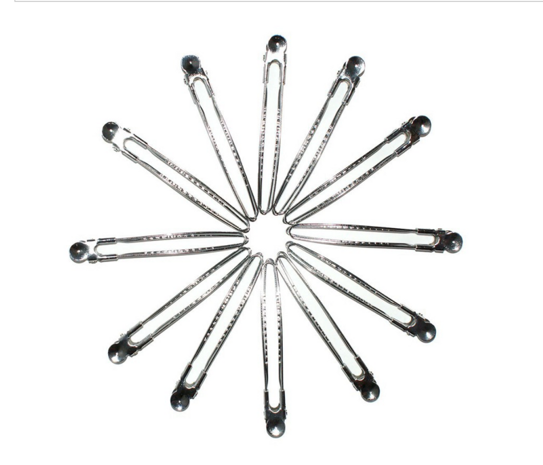 Silver Control Clips x12